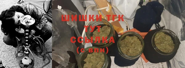 хмурый Пестово