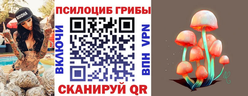 Галлюциногенные грибы Psilocybine cubensis  Урус-Мартан 