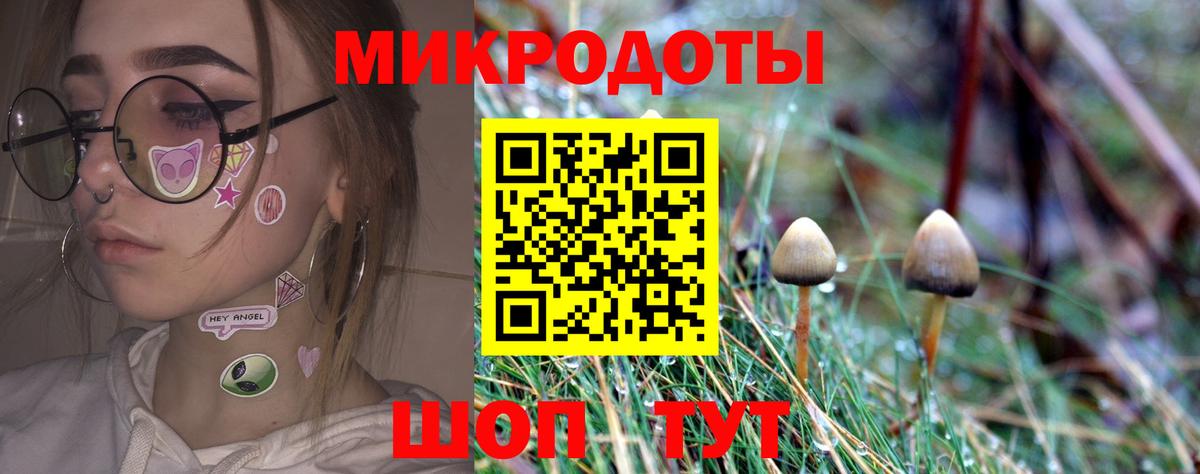 Урус-Мартан  Галлюциногенные грибы прущие грибы  Вход с VPN 